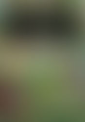 5º grado: Terminamos la recomendación