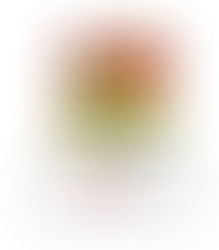 Primer grado: Cuadernillo N°16