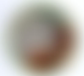 4º grado: Registro de observaciones