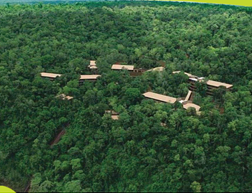 4º grado: Ambientes, vegetación y fauna