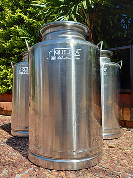tarro de 50 Lts inox