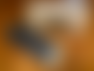 SKD11 超合金盤 THE·EARTH FLATTER