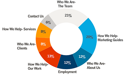 Google analytic donut chart.png
