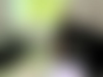 Do Geoprocessamento à prática: uso do QGIS na Gestão Pública Municipal