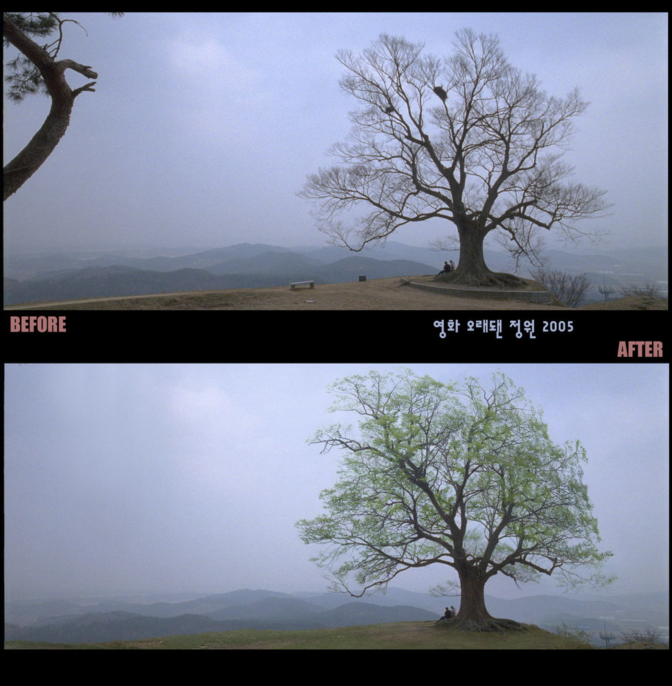  The Movie
'The Old Garden'