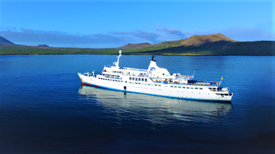 Suprise them with a Galapagos Cruise