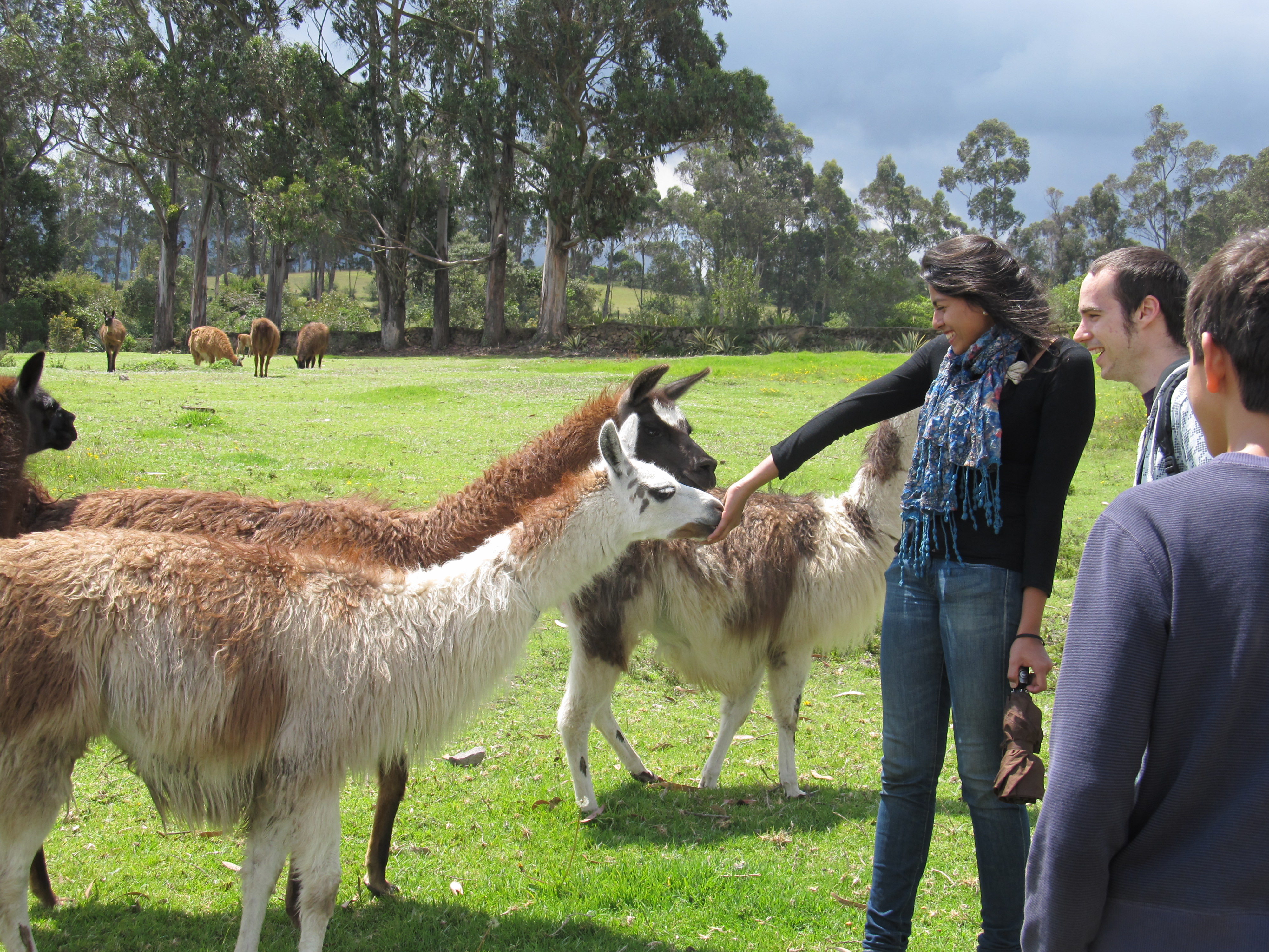 Wildlife encounters