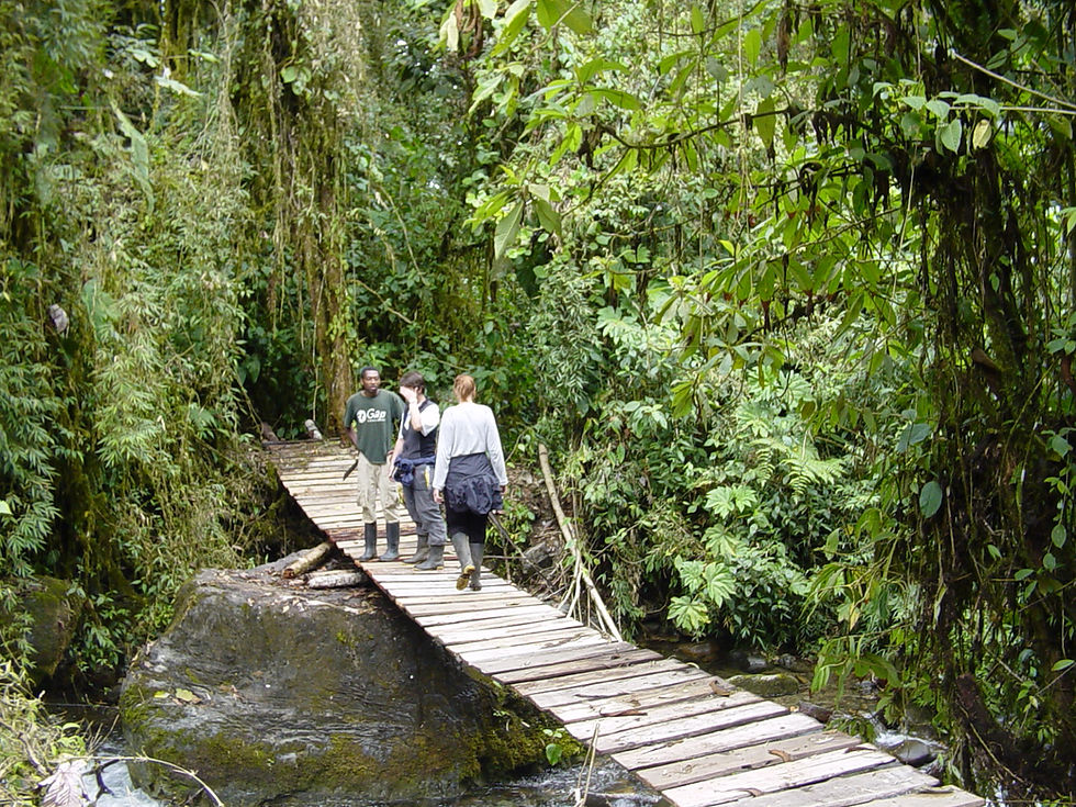 Thumbnail: 4 Days Amazon Cacao Tour