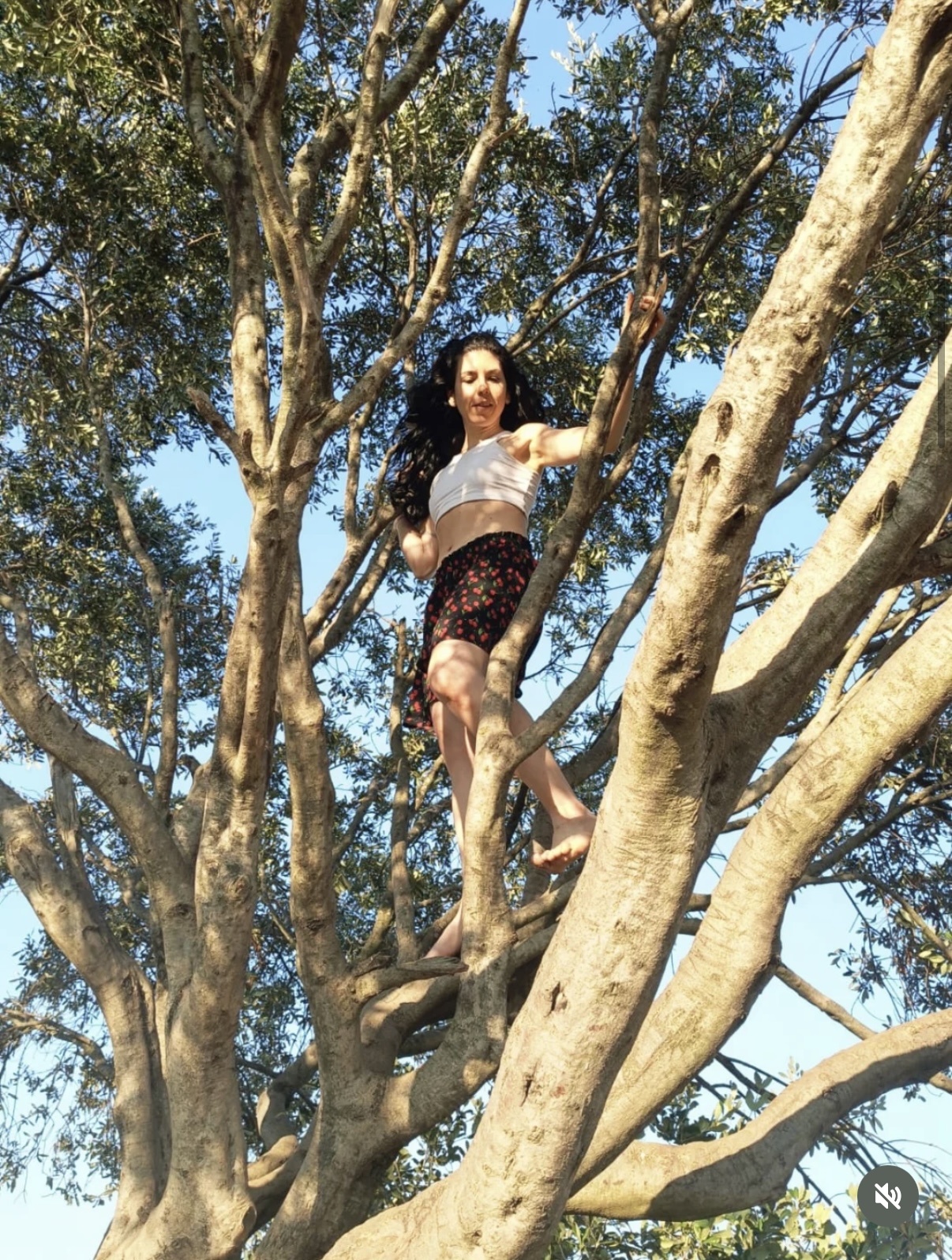 Writer: Diana di Marco