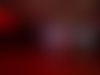 Lioness - Sarah Fimm