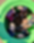 Screenshot 2025-02-01 082209.png
