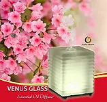 venus_square