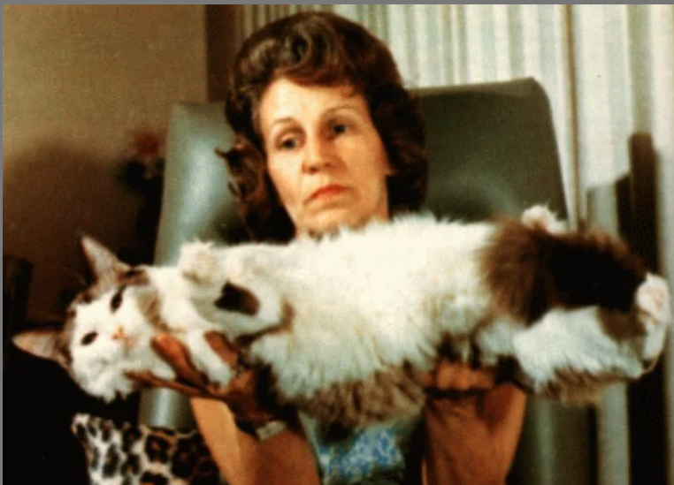 Ann Baker holding large, fluffy Ragdoll cat with brown and white fur; seated in a chair with a neutral background, wearing a neutral expression. Ragdoll cat history