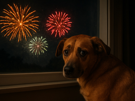 Prefeitura de Guararema reforça proibição de fogos com estampido