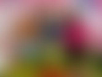 Prefeitura de Bertioga inicia distribuição de cestas verdes para entidades assistenciais