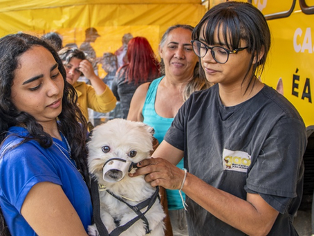 12ª edição do Seu Amigo Pet será realizada no Santo Ângelo, com inscrições para castração no dia 24