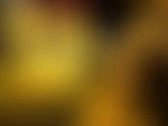 Festival Encantado de Guararema tem início com programação musical, espaços gastronômicos e decorados