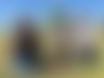 Viveiro Municipal completa sete anos e comemora a marca de 100 mil visitantes