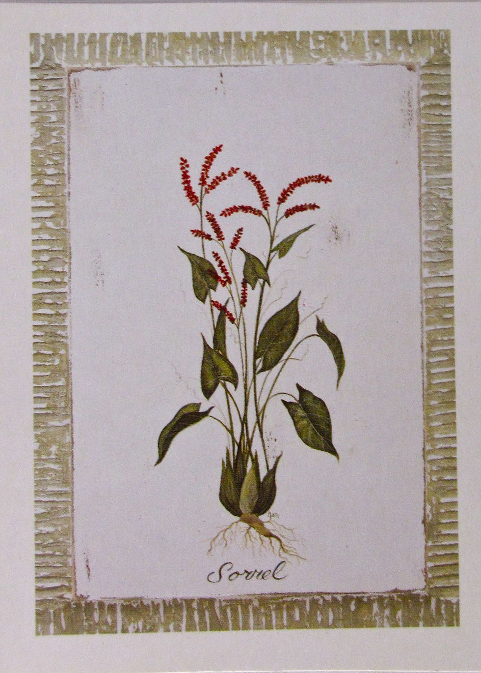 Thumbnail: Herb Cards
