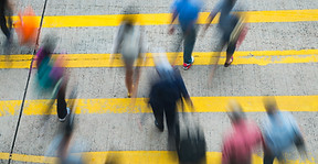 Zebra Crossing