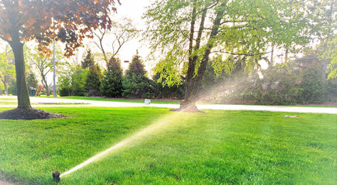 Mastering Smart Watering: Unlock the Secrets to a Lush Lawn