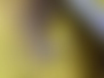 Final (Close Ups and Obscures)