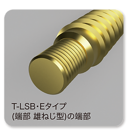 T-LSB_Etype.png