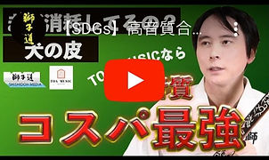 津軽三味線・箏 - 獅子道オンラインストア1.jpg