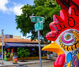 Little Havana.jpeg