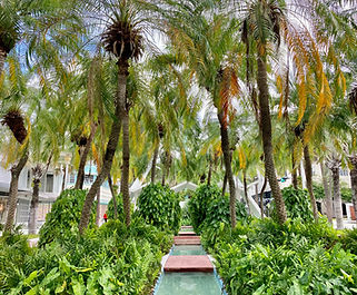 Miami-Photographer-Fairchild Tropical-Bo