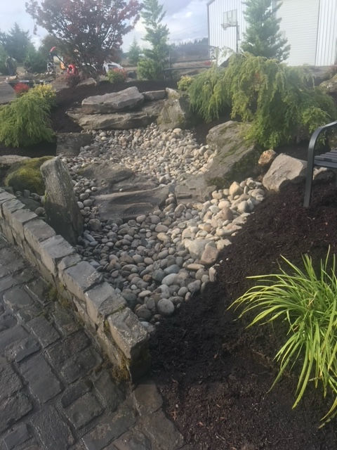 image5.jpeg