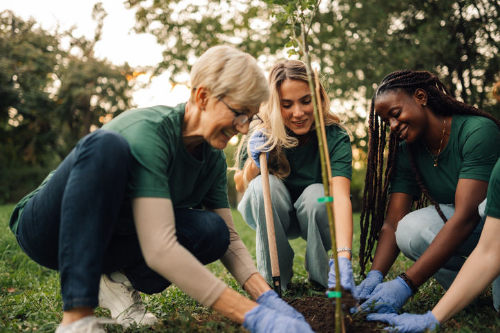 Diverse volunteers planting a young tree together.