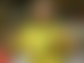 Ronaldo Nazário : R9