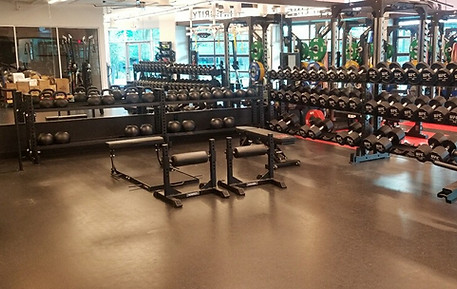 Sorinex Iron Bear, Single Leg Squat Stand, Jack Squat, Hip Thruster at UFC Performance Institute Las Vegs