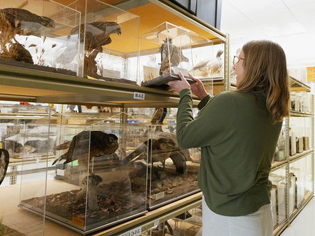 “박물관 전시품 빌려가세요”샌디에이고 자연사 박물관