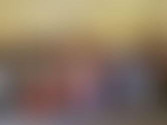 HOK, 한국계 입양인 초청 ‘문화체험 행사’ 가져