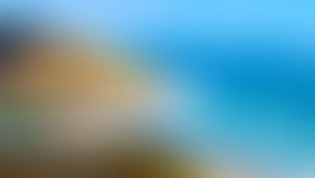 토리 파인스 주립 자연 보호구역, 내년 2월까지 부분 폐쇄