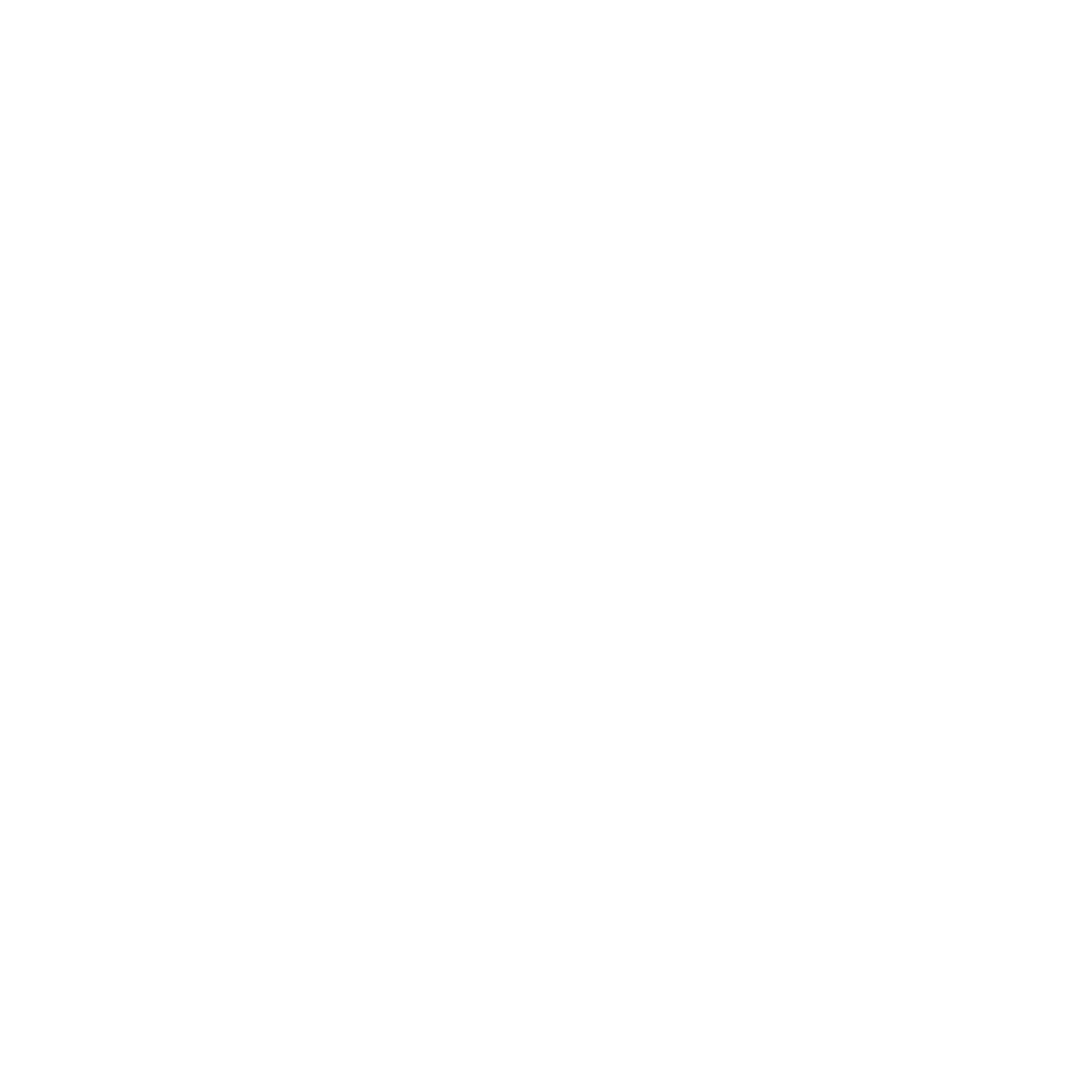 White Franzi logo with transparent background