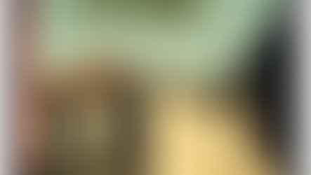 A cidade e as serras