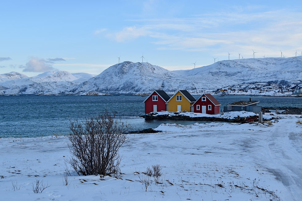Norvège - Kvaløya - Sommarøy - maisons colorées