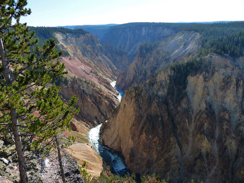 Yellowstone National Parc Canyon Lookout Point