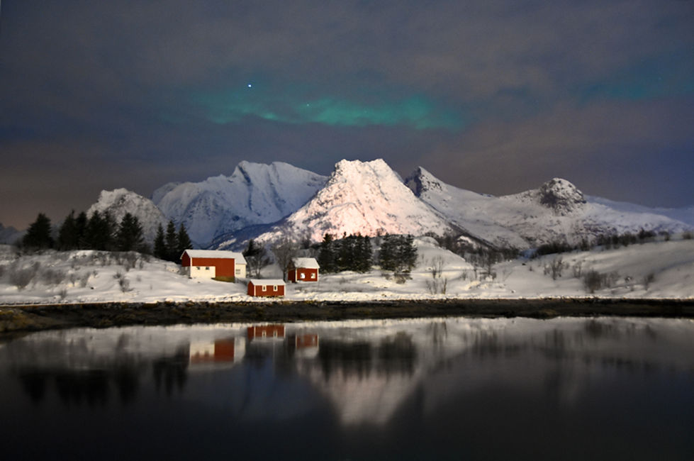 Norvège - Nyvågar Rorbuhotel - aurores - aurora