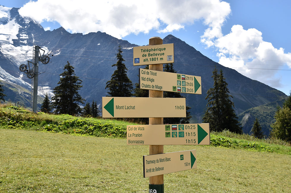 Chamonix - les Houches - randonnée - Mont Lachat - Bellevue