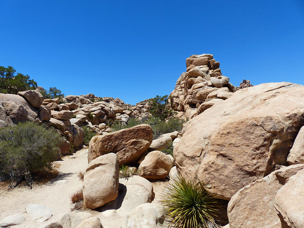 Joshua Tree National Park Hidden Valley Trail