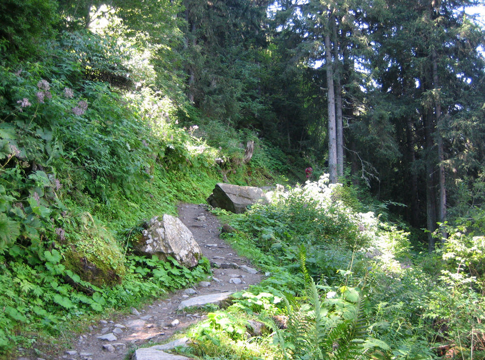 Chamonix - Chalet des Pyramides