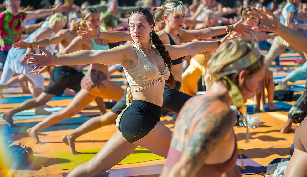 Bhakti Fest X Sebastapol Bloom Fest