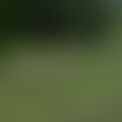 Onarıcı, Adil, Besleyici: SafiMera Hayvancılık