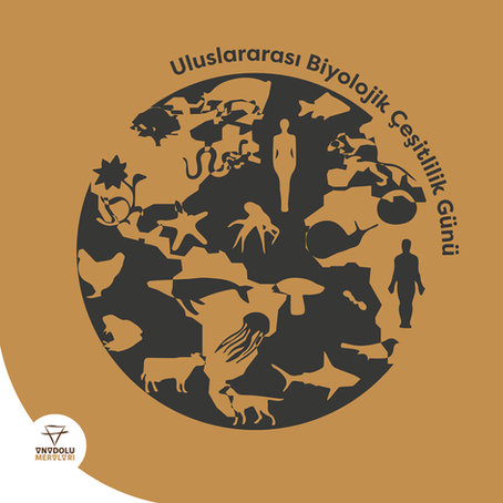 Biyoçeşitlilik yaşamın çeşitliliği demektir!