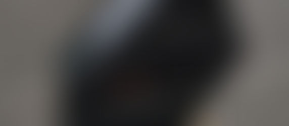 Hidizs SD2 - Odd Shape = Odd Sound? - Honest Audiophile Impressions 