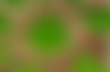 Mi compromiso es contigo